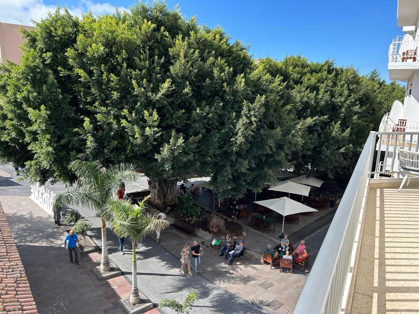 Appartement Vista Plaza - Exceptional Location à Los Llanos De Aridane Extérieur photo